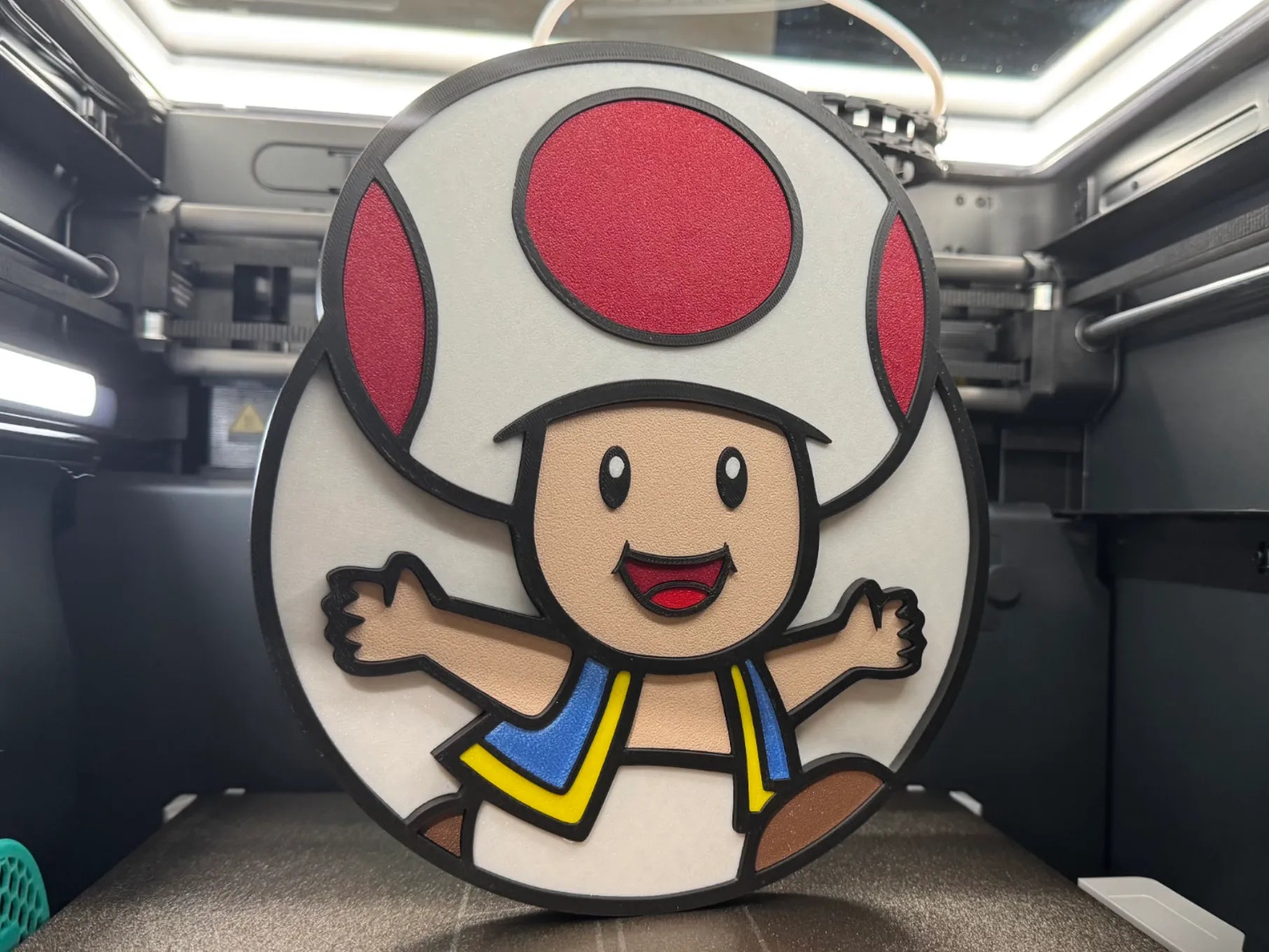Toad Wall Art - 3D Printed Wall Decor