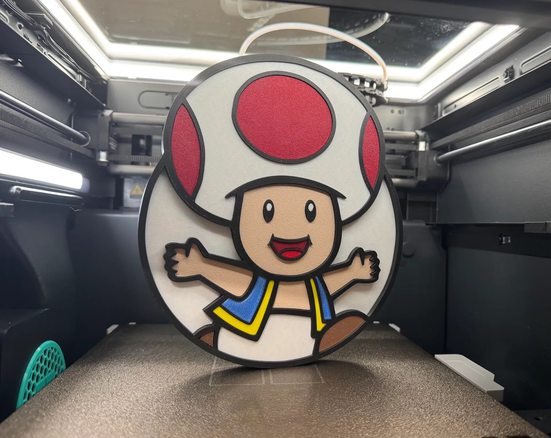 Toad Wall Art - 3D Printed Gaming Decor