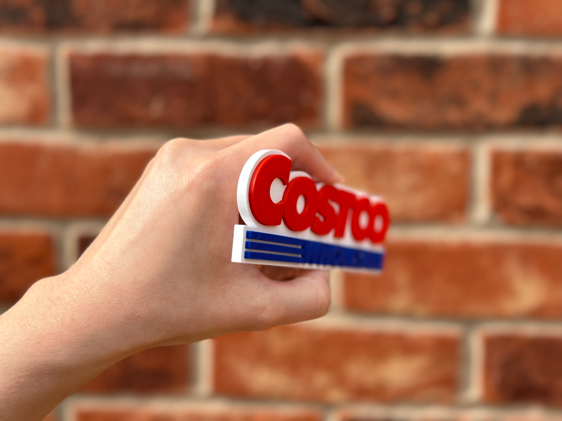 Costco Logo Wall Art image 3