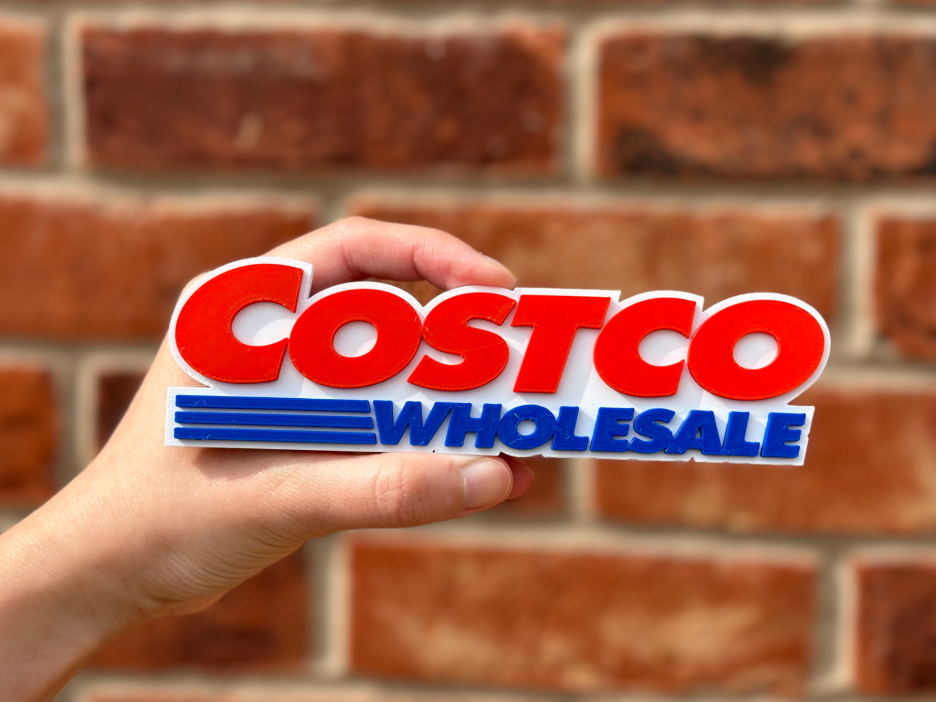 Costco Logo Wall Art image 5