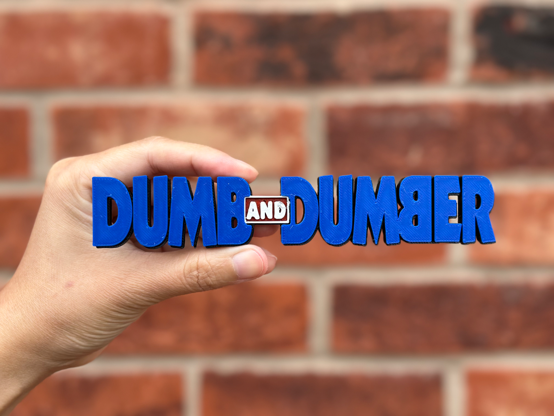 Dumb and Dumber Logo Wall Art image 1