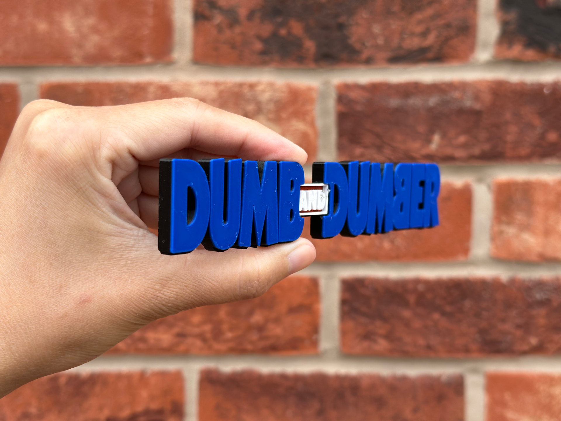Dumb and Dumber Logo Wall Art image 3