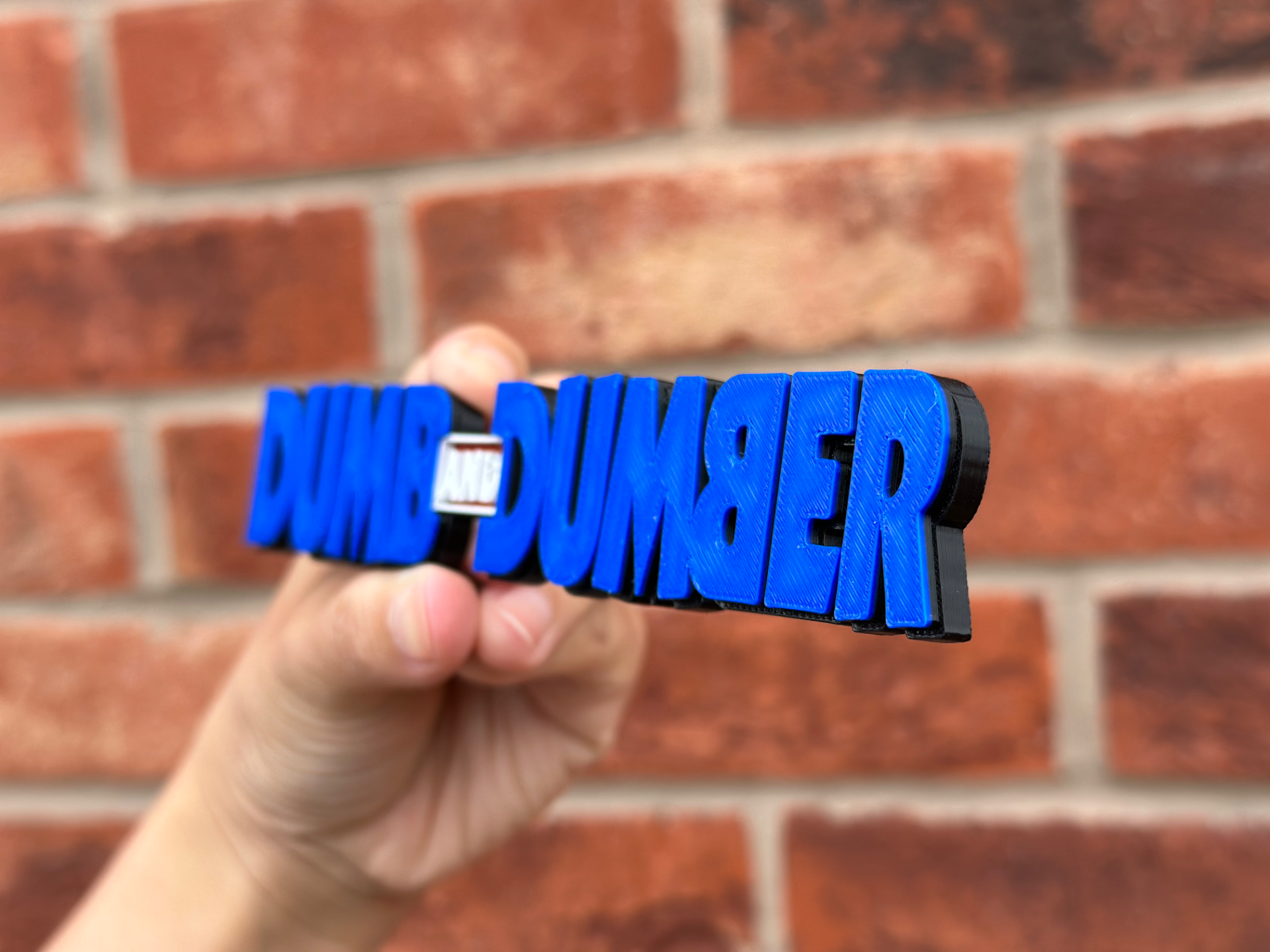 Dumb and Dumber Logo Wall Art image 4