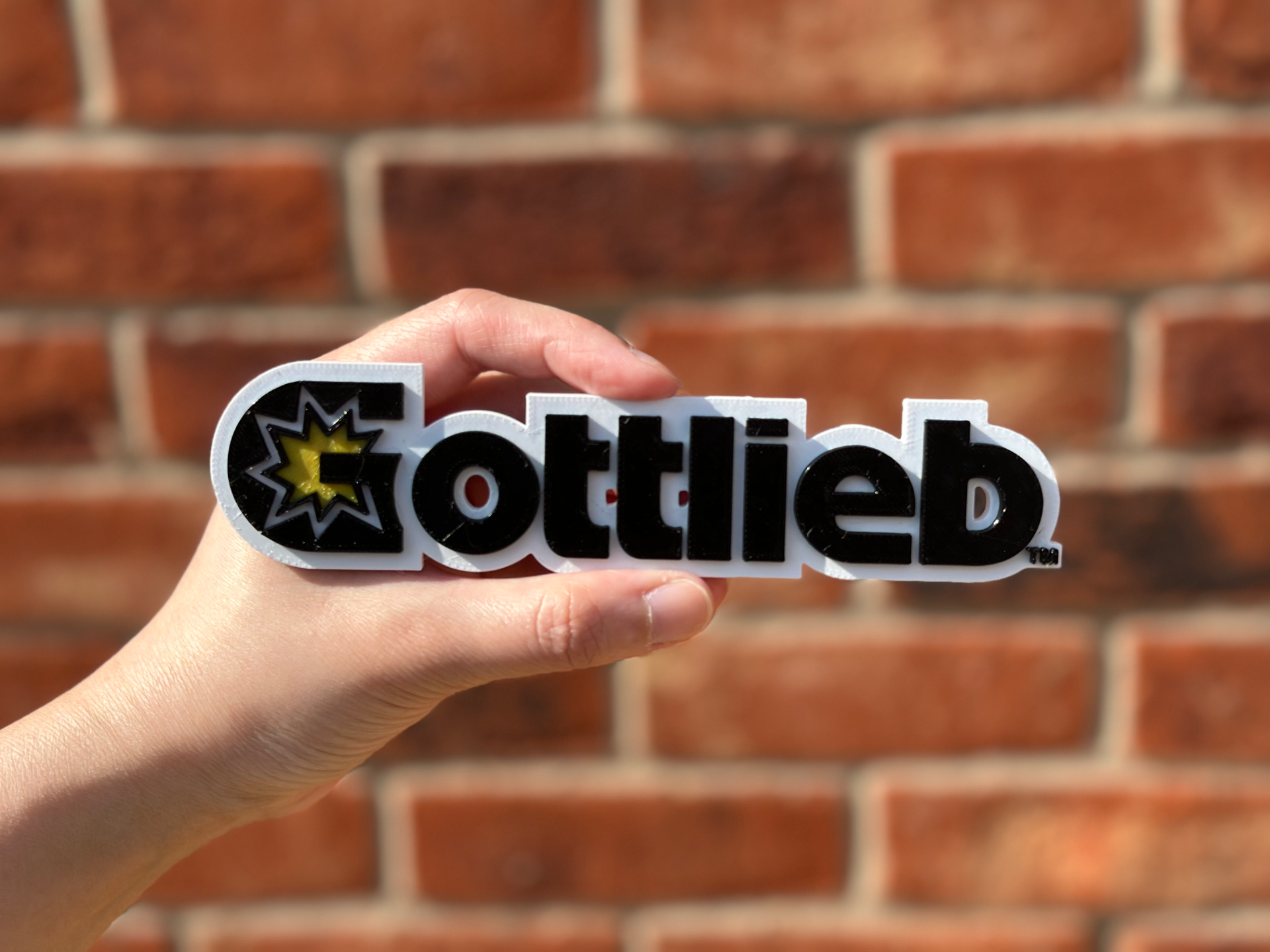 Gottlieb Logo Wall Art image 2