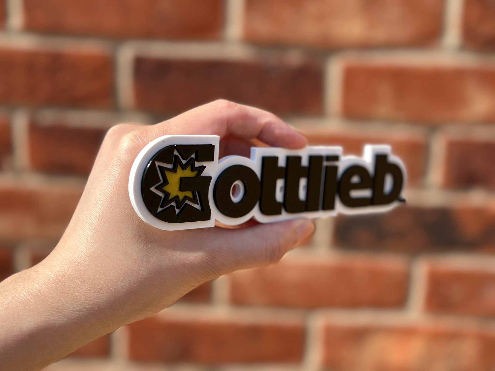 Gottlieb Logo Wall Art image 3
