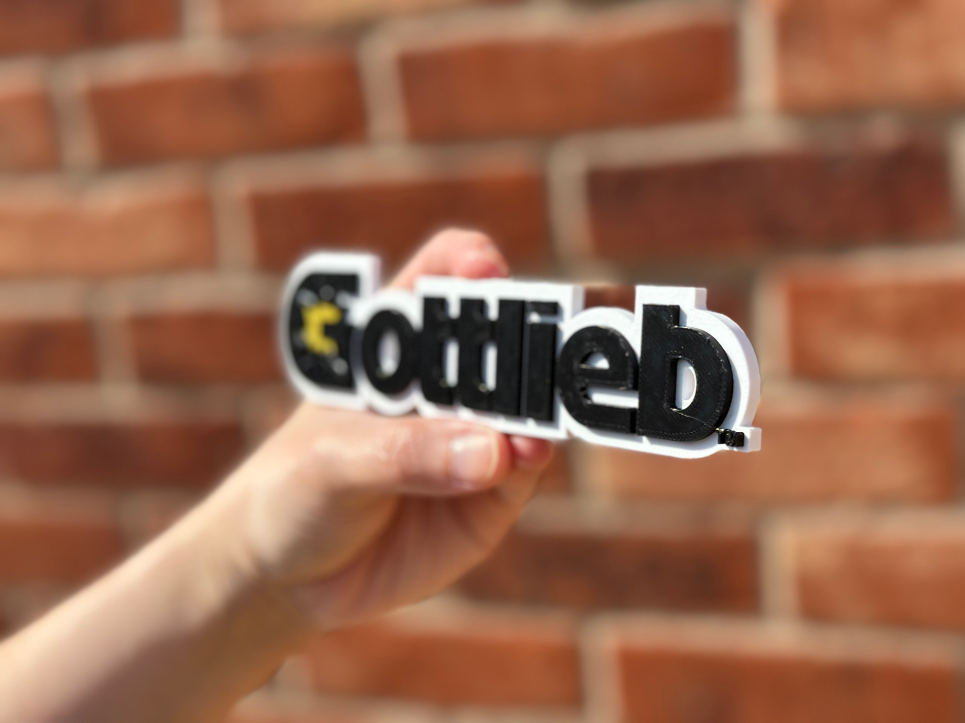 Gottlieb Logo Wall Art image 4