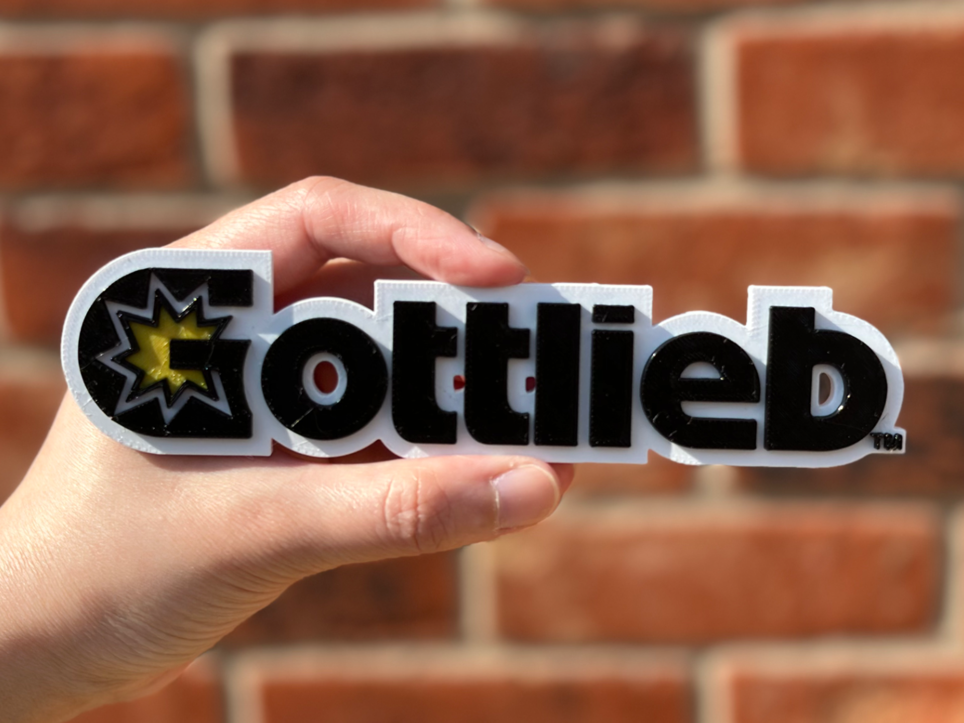 Gottlieb Logo Wall Art image 5