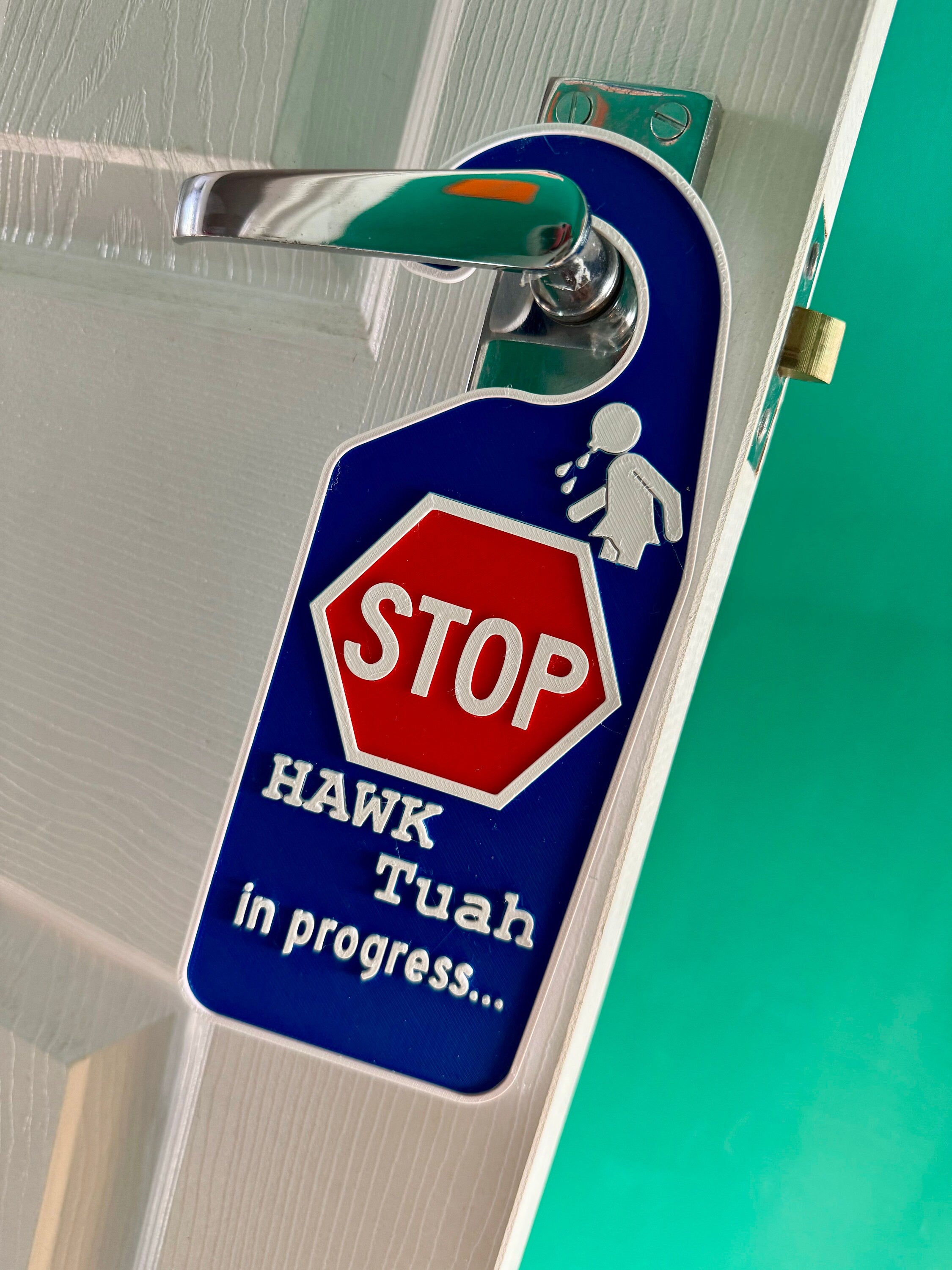Hawk Tuah In Progress Door Hanger | TikTok | Meme | Funny | Customise