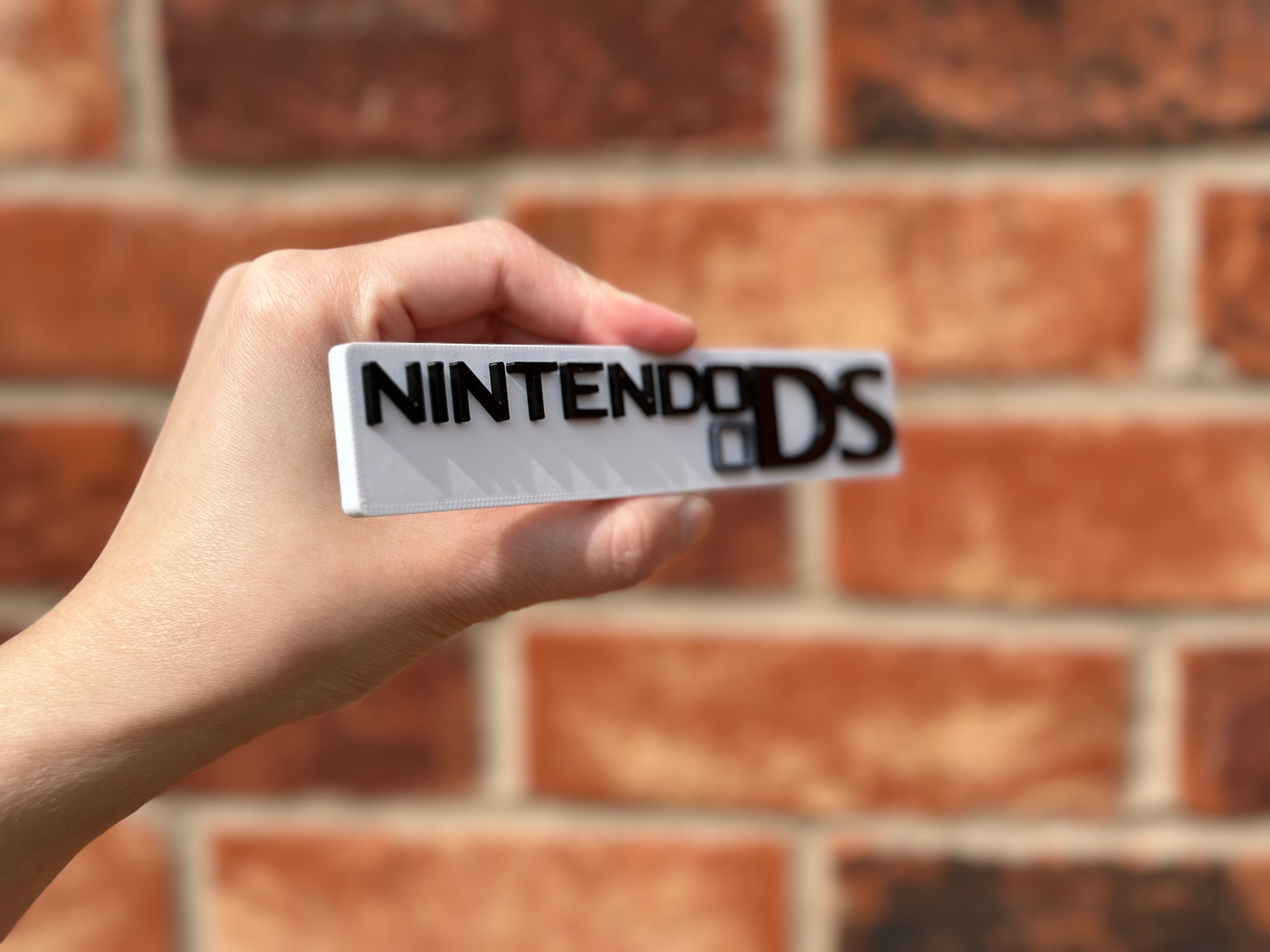 Nintendo DS Logo Wall Art image 3