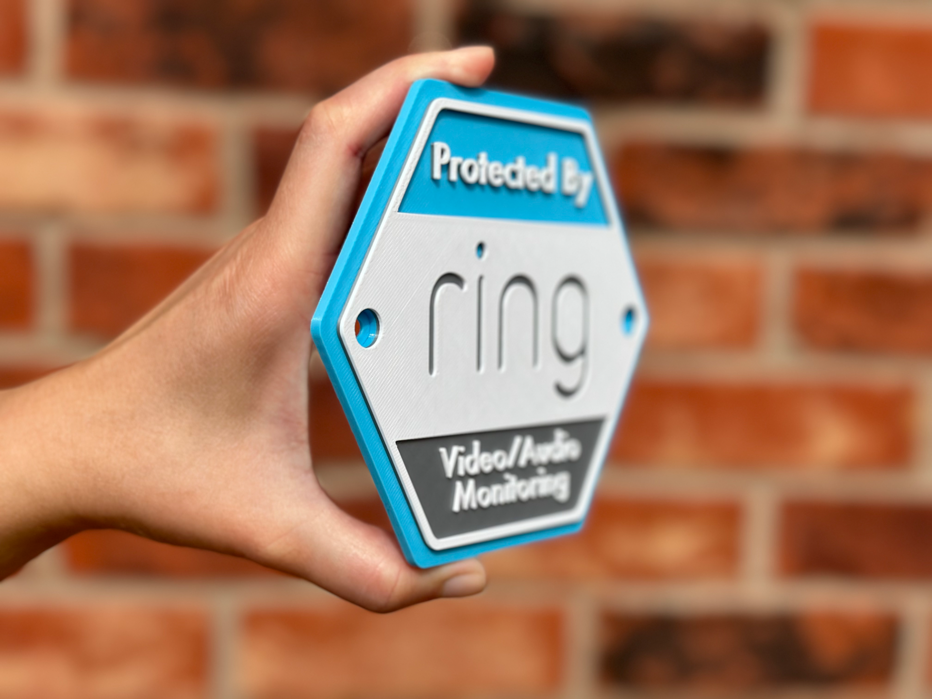 Ring Logo Wall Art image 4
