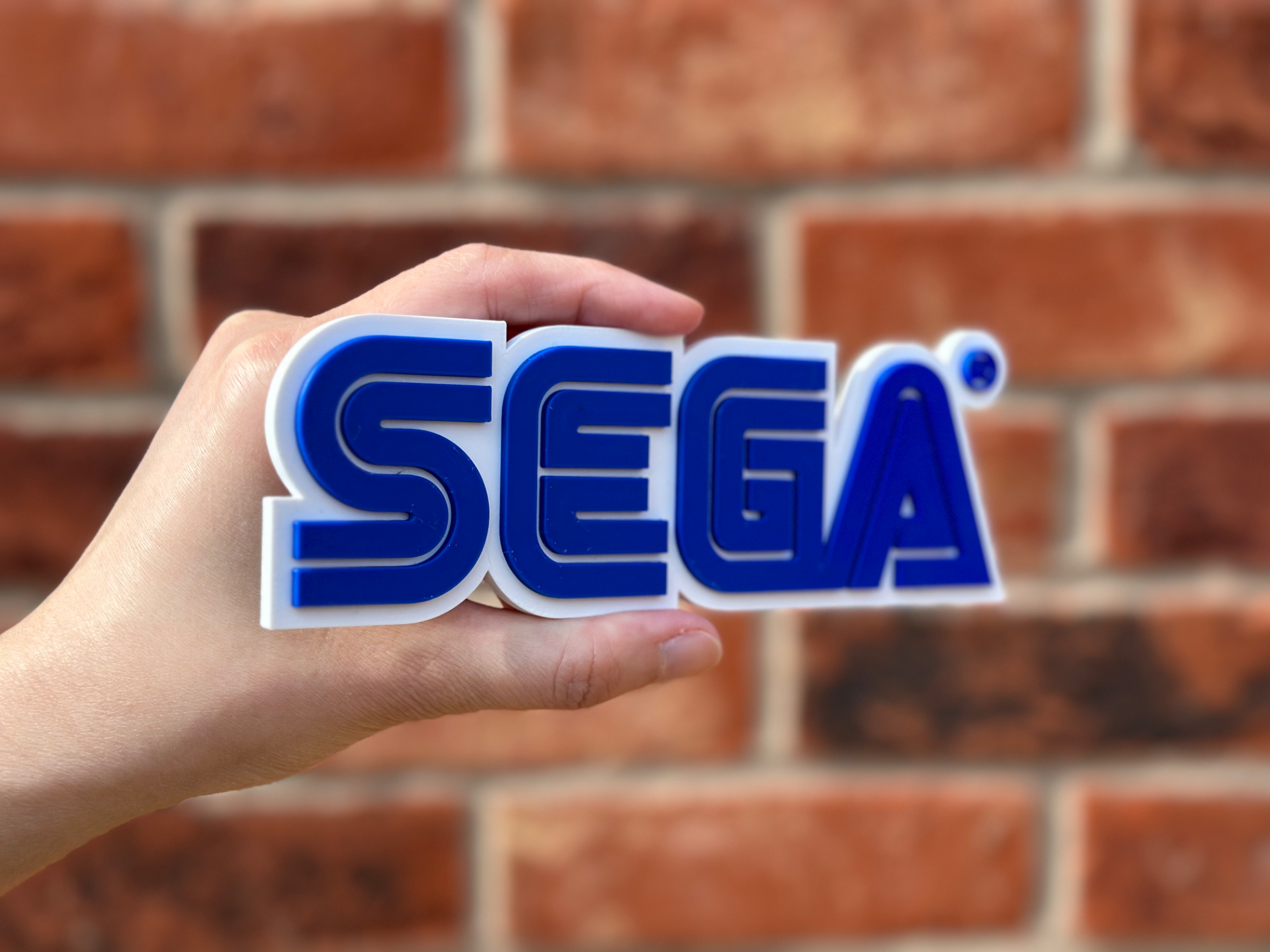 SEGA Logo Wall Art image 3