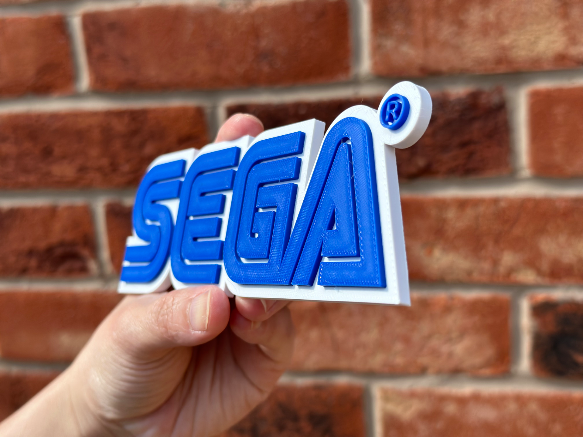 SEGA Logo Wall Art image 4