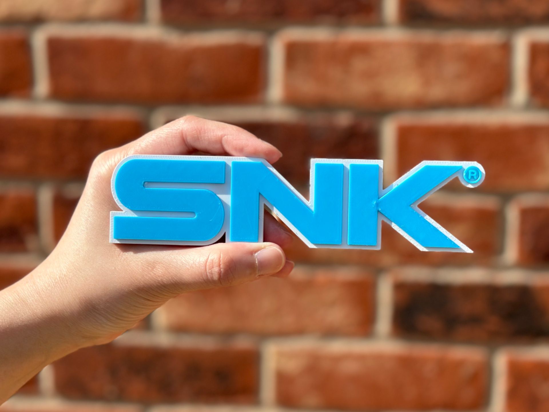SNK Logo Wall Art image 1