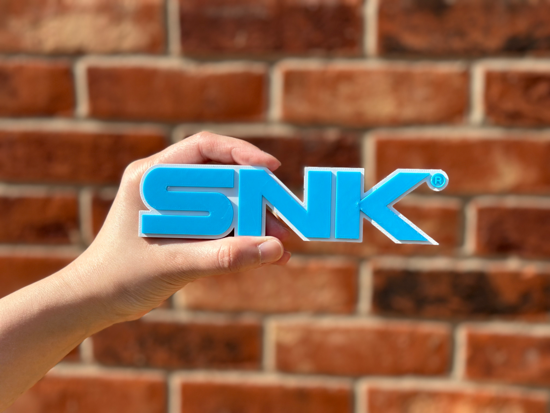 SNK Logo Wall Art image 2