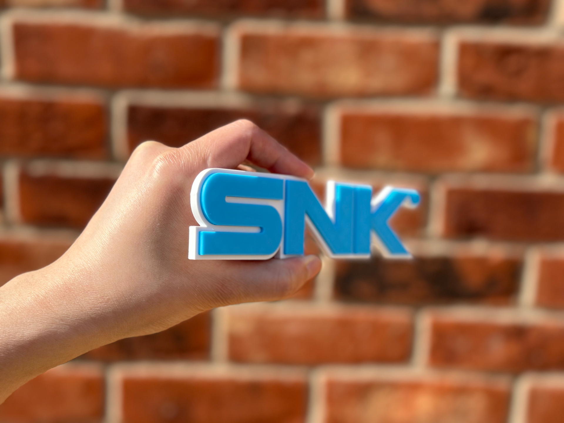 SNK Logo Wall Art image 3