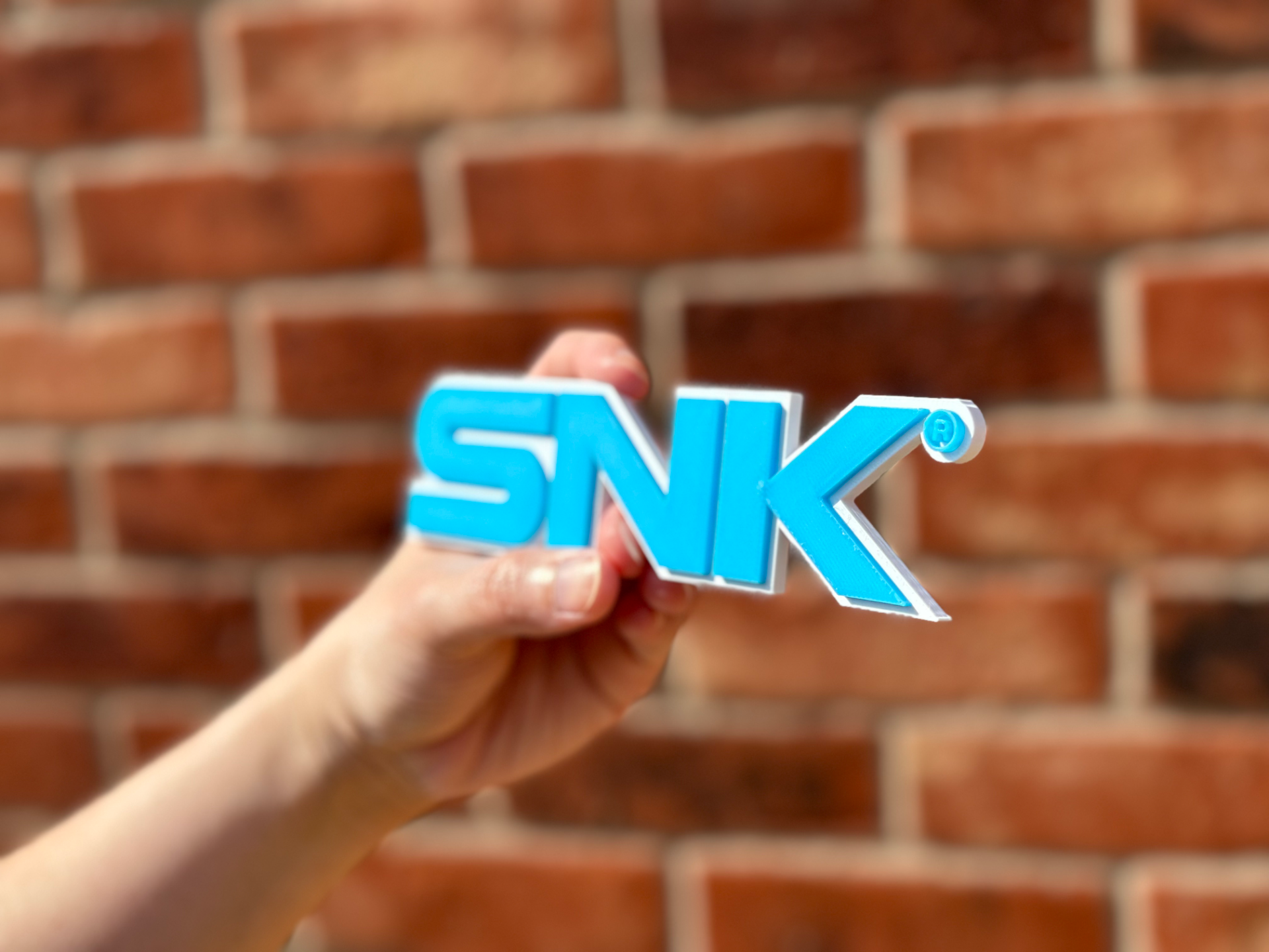 SNK Logo Wall Art image 4