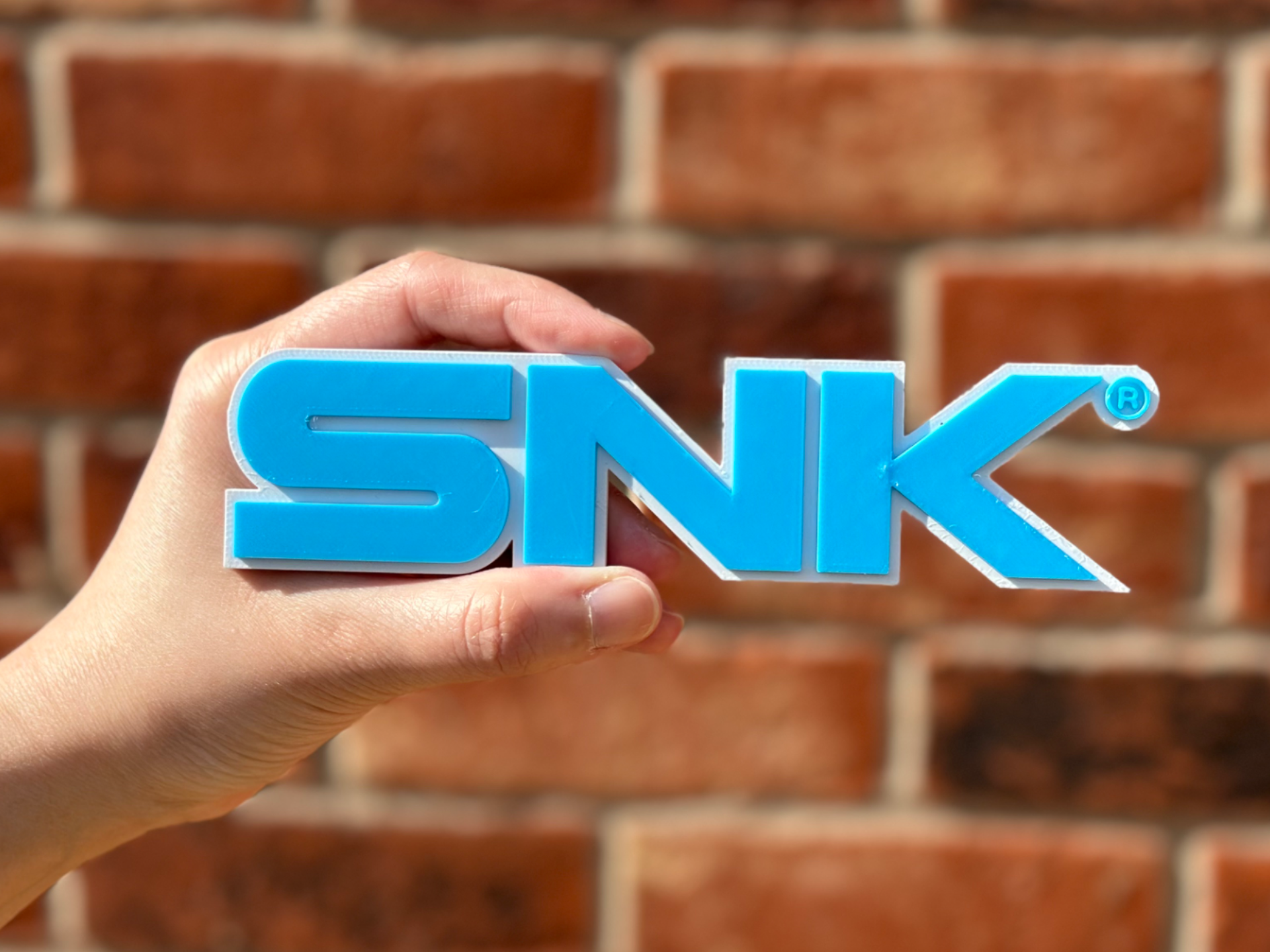 SNK Logo Wall Art image 5