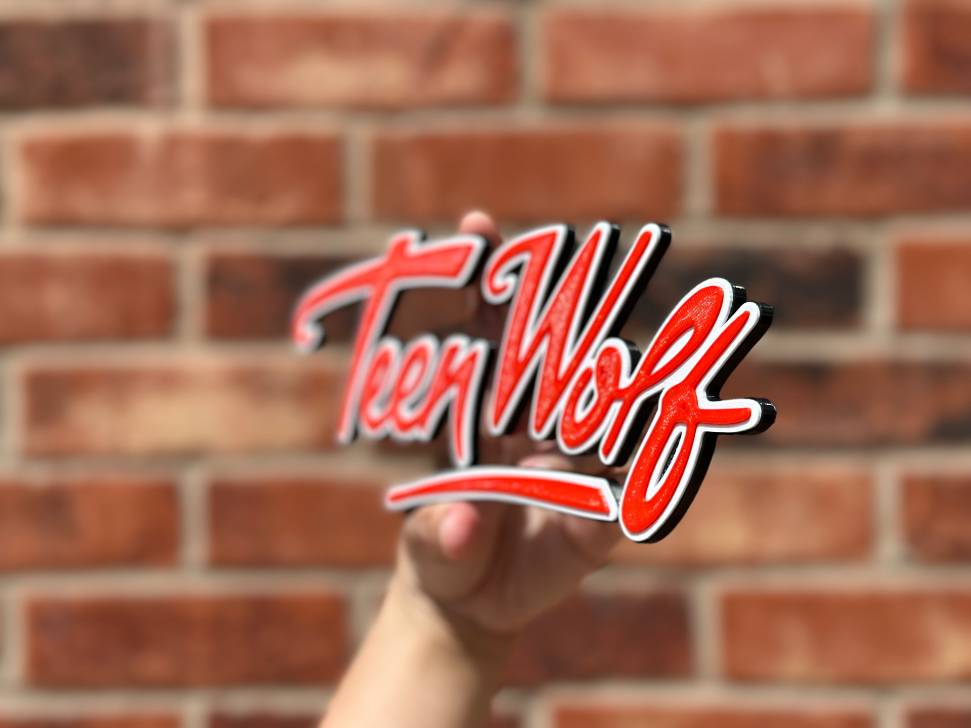 Teen Wolf Logo Wall Art image 3