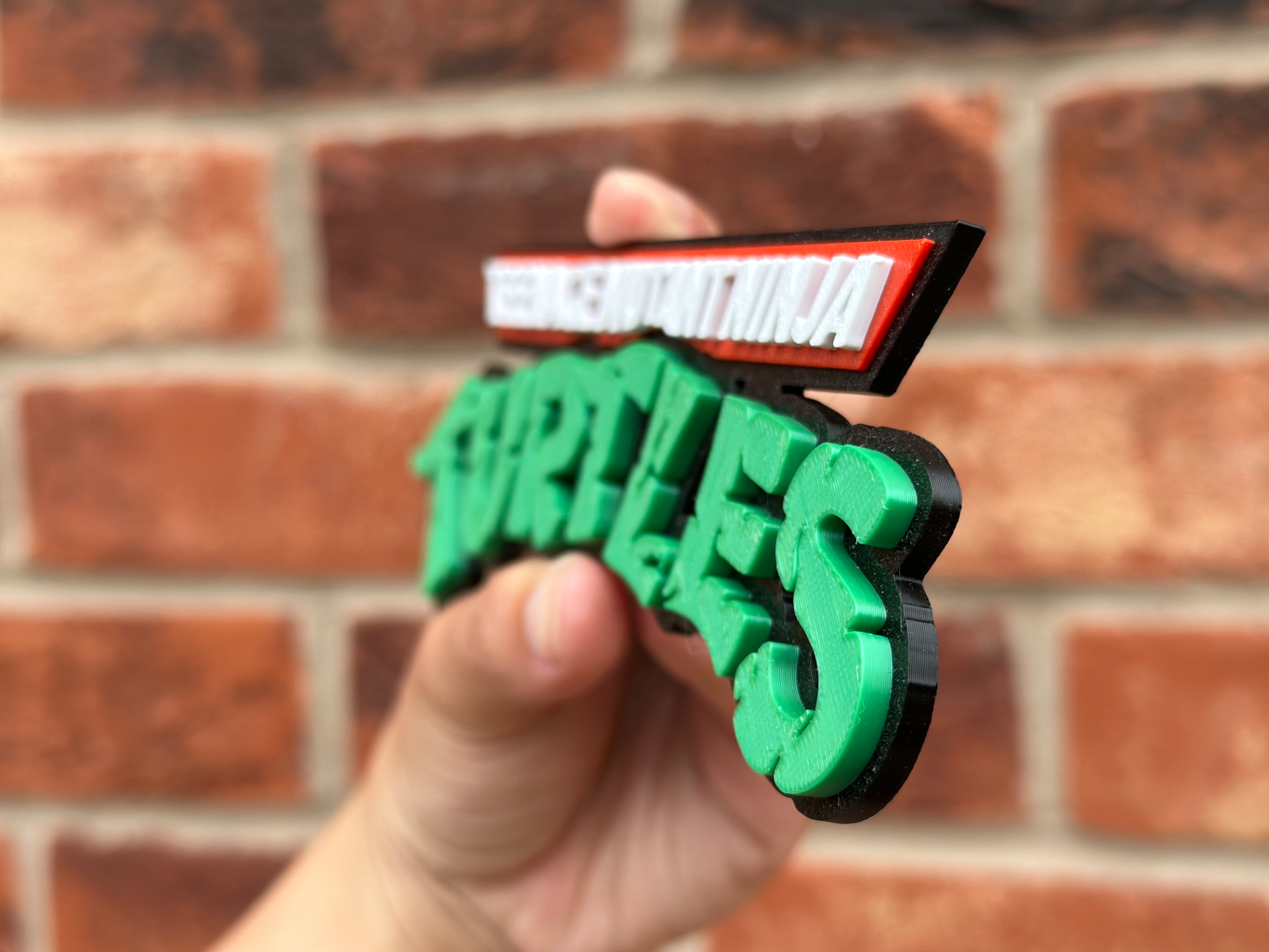 Teenage Mutant Ninja Turtles TMNT Logo Wall Art image 4