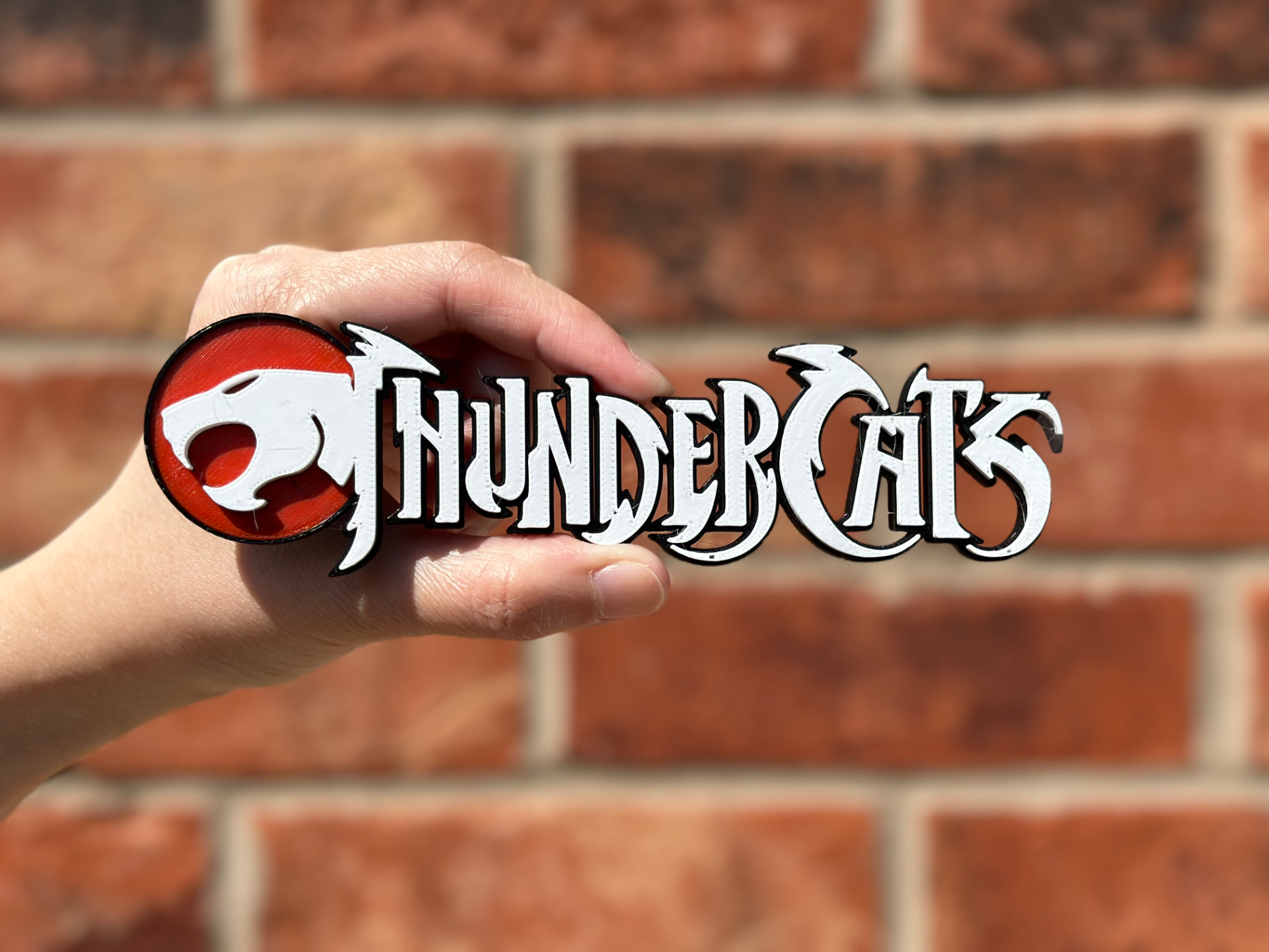 Thunder Cats Logo Wall Art image 2