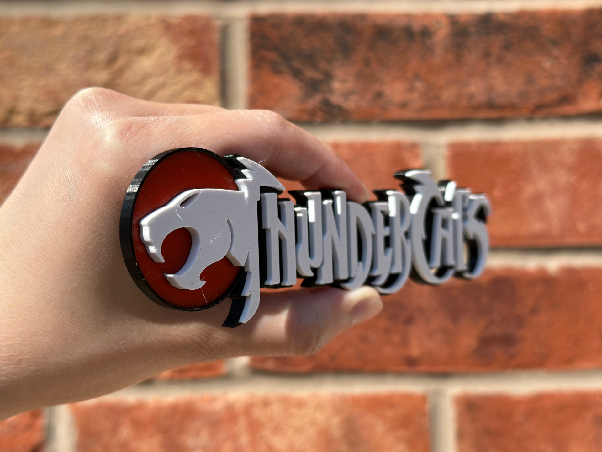 Thunder Cats Logo Wall Art image 3