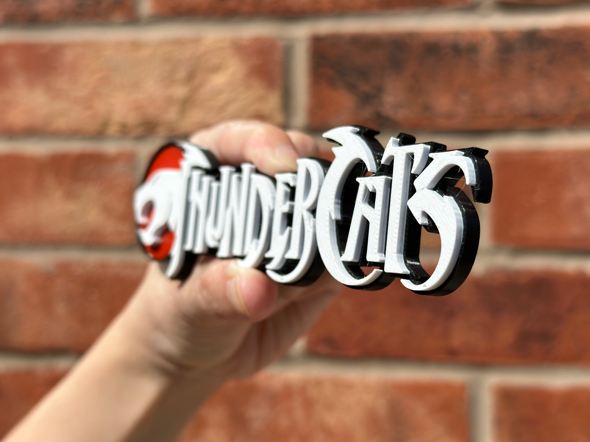 Thunder Cats Logo Wall Art image 4