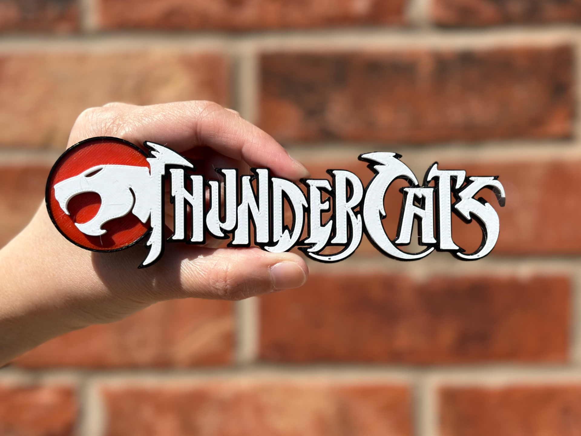 Thunder Cats Logo Wall Art image 5